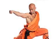 Martial Arts Have Techniques But No Secrets or Techniques