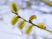How to Exercise in Spring