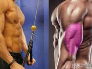 Seemingly Simple, But Often Mistakes Triceps Exercises: Mastering These Details