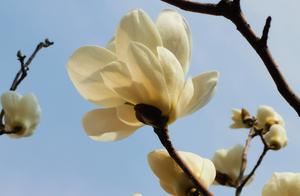 March 3rd (Spring Festival Tradition)