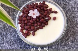 Double Skin Milk: A Must-Have Dessert – Fragrant and Silky Smooth
