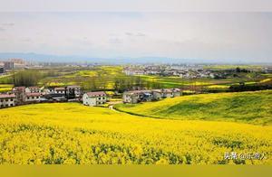 Shaanxi in March, the Spring Bloom: 3 Must-Visit Places – You'll Miss It If You Don't!
