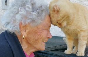 Grandma's Lost Cat Reunites After 4 Years, Heartwarming Reunion Melts Hearts