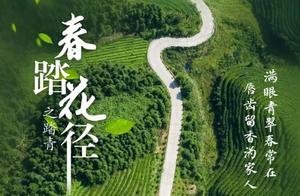 Great Spring Scenery Spots in Ningxiang! This Group of Real-Scene Posters, People Must Have Seen Them Over 100 Times!