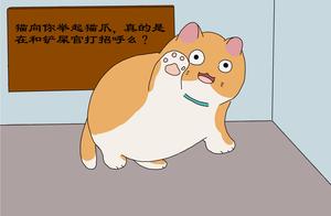 Cat Raises Paws to You: Is It Really a Greeting?