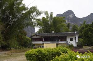 Jiang Ge Explores the Hidden Trails | The Big Banyan Tree in Yangshuo: A Thousand-Year Song