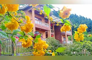 Xichong, Sichuan: Villages of Beautiful Scenery