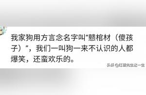 What name does your pet dog go by? Netizens: I really wouldn't dare to call out while walking the dog.
