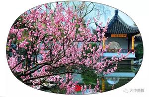 Do Not Contest the Spring, Only Let It Report Back.