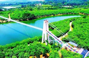 Huadu Also Has a Glass Bridge! Reaching 268 Meters, Abundant Flowers, and Fresh Air