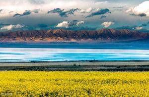 July Qinghai Lake: Half is a Flower Sea, Half is a Cycling Route