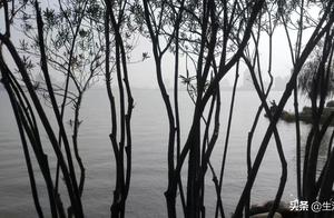 Hardworking Common People Catching River Snails in the Beautiful Tuan Chu Lake