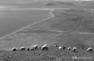 Two Opposite Lakes in China: One Expanding, One Contracting