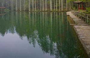Government & Visuals: Hiking & Enjoying the Spring!