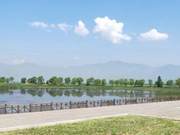 Spring Water Flows, Wild Duck Lake Welcomes Mysterious Guests!