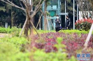 Partial Parks and Tourist Attractions in Chongqing Resume Operation in Phased Manner