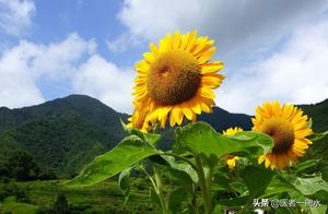 Awakening: Life is Initially Dealt a Bad Hand; Cautiously Playing It Can Turn Things Around and Lead to Rebirth!