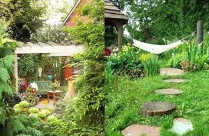 Returning Home to Build a Courtyard, Quietly Drinking Tea, and Growing Old Together