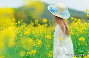 Don't Go to Jiang Ling – The 3 Most Beautiful Small Villages in Wuyuan for Viewing Oilpea Flowers (Free!)