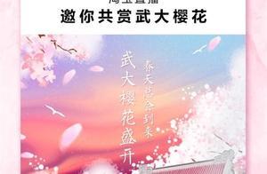 Where to View Wuhan University Cherry Blossom Livestream Schedule: Detailed Entrance Explanation