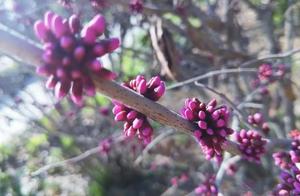 Love in the World, Spring Arrives, All Return
