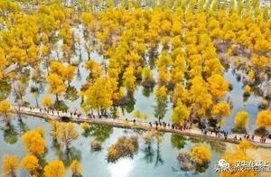Han Zhong People's Journey Westward (Serialized 4/6: The Golden Hu Yang Chapter)