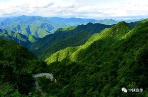 National Level Protected Animal Lin Shea Makes Its First 'Appearance' in Huangshan Mountain Nature Reserve