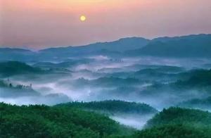 2-Hour Direct Train from Chengdu to Bamboo Forest: Experience a Poetic Zen Lifestyle Featuring Bamboo Groves, Courtyard Style, and the Tangquan Hot Springs