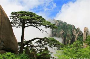 Huangshan Scenic Area Visitors Reach 20,000 Just to Get Free Admission!