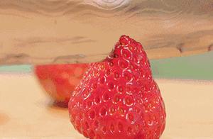 Strawberries are Red! The Most Complete Chongqing Strawberry Picking Map Released, Accessible by Bus!