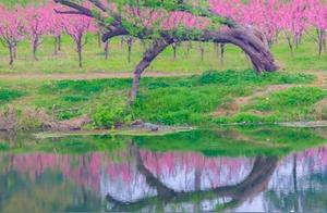 Zhumei: Like a Poem, Like a Painting - Three Rivers