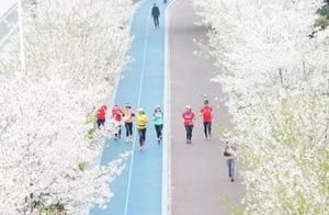 All Zhejiang Scenic Area B&Bs Resume Operations, Billion Yuan Red Envelopes Boost Cultural and Tourism Consumption Season