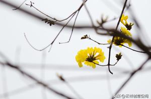 Troubles Arise Every Day, Nature Offers No Relief; A Peaceful Mind is a Contented Mind