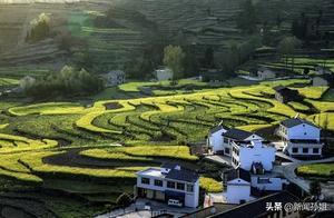 Visiting Ancient Terraced Fields, Admiring the Gorgeous Oilseed Flower Sea – This Rural Landscape is Truly Mesmerizing!