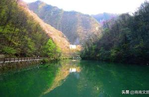 Benefits are here, you’re invited to Zhisan Gorge, and I’m sending you Shangnan Tea!