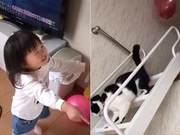 Little Master's Balloon Flees, Cat Helps Her Three Times, Owner Says: 'So Heartwarming'