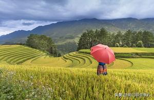When parents are absent, hometown becomes a foreign land.