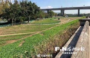 Flower Sea Park's New 'Floral Display' Awaits You in May