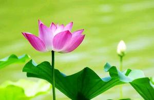 In the Rest of Your Life, Be the Best Version of Yourself