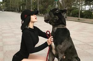 Everyone Says Women Who Raise These Large Breeds of Dogs Are Confident and Charming – What Do They Think?