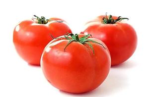 Tomato and Egg Soup
