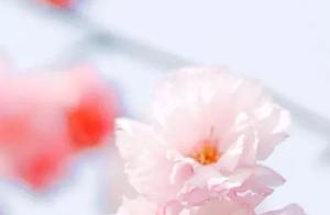 May Tomorrow Be Peaceful, The Land and Rivers Tranquil