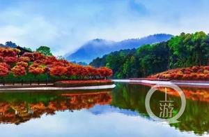 Colorful South Lake Botanical Garden Reopens in Nanpeng Street