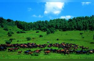 Shaanxi Love to Travel Attractions - Guan Shan Grassland