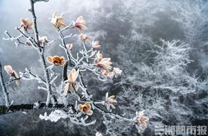 Zhangjiajie Tianmen Mountain Experiences 'Peach Blossom Snow'