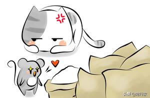 Why Do Cats Choose to Give Up Their Wildness and Freedom? How Did They Learn to Coexist with Humans?