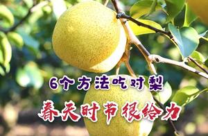 6 Methods for Cooking Pears – Highly Effective, Collect and Enjoy Them Slowly