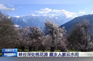 Linchen, Tibet: Peach Blossom Paradise in the Deep Gorge, Tibetan Countryside Amidst Streams and Clouds