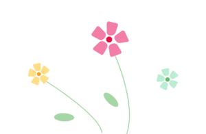 China's Oxygen Capital • The Most Oxygen-Rich Spriming! Spring in Spriming is Truly Here!