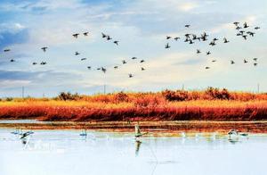 Kuche, Xinjiang: Animal Paradise in the Desert
